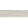 HD 252541 23X1 ABS SWISS ELM COOL 23X1 Rollenlänge 200 Meter