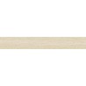 HD 216209 23X1 ABS MAGYRA BEECH PORE 23X1 Rollenlänge 200 Meter