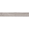 HD 24161 42X1 ABS EICHE HERITAGE PORE 42X1   Rollenlänge 200 Meter