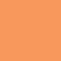 Argolite 362 AM Orange