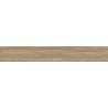 HD 24305 22X045 ABS OAK NATURAL TONSBERG PORE 22X045 Rollenlänge 200 Meter