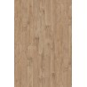 Kronospan K361 PW Gold Harbor Oak